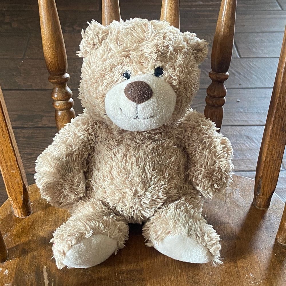 10/$50 Adorable Tan Teddy Bear Plush Toy
